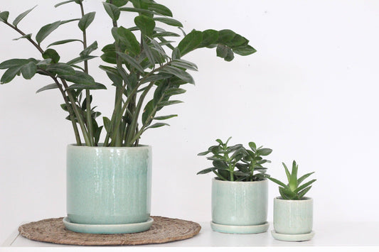 Sage Green Ceramic Round Planter Pot with Saucer